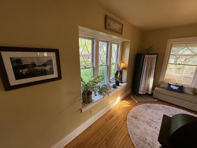 2505 Robinsdale Ave, La Crosse, WI 54601 - living room with hardwood / wood-style flooring and plenty of natural light