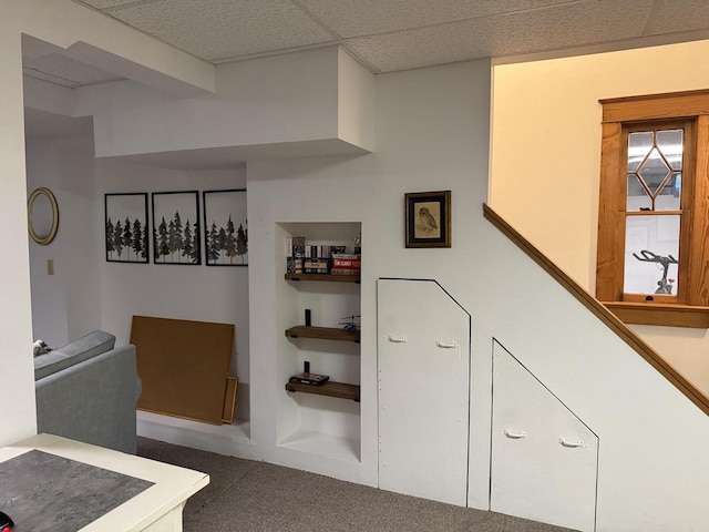 2505 Robinsdale Ave, La Crosse, WI 54601 - stairway featuring carpet and built in shelves