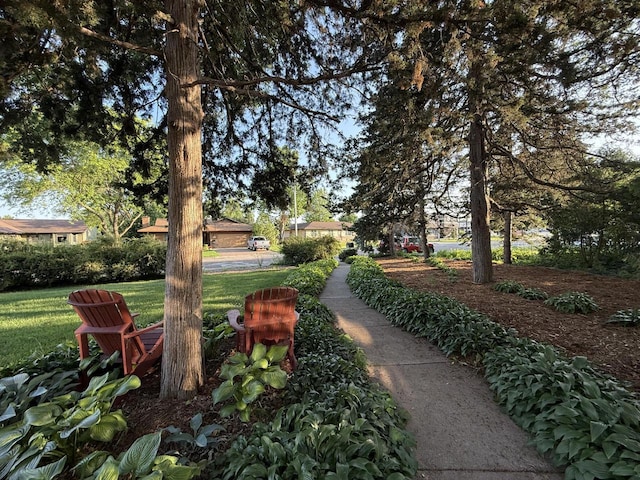 2505 Robinsdale Ave, La Crosse, WI 54601 - view of green lawn