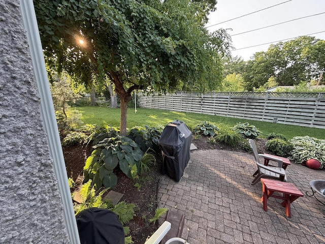 2505 Robinsdale Ave, La Crosse, WI 54601 - fenced backyard with a patio and a grill