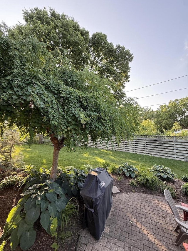 2505 Robinsdale Ave, La Crosse, WI 54601 - fenced backyard featuring a patio area and a grill
