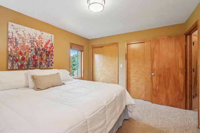 3426 W Links Dr, Franklin, WI 53132 - bedroom with two closets and carpet floors
