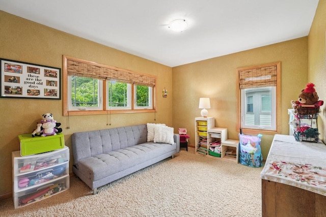 3426 W Links Dr, Franklin, WI 53132 - living room with carpet