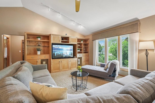 3426 W Links Dr, Franklin, WI 53132 - carpeted living room with rail lighting and lofted ceiling