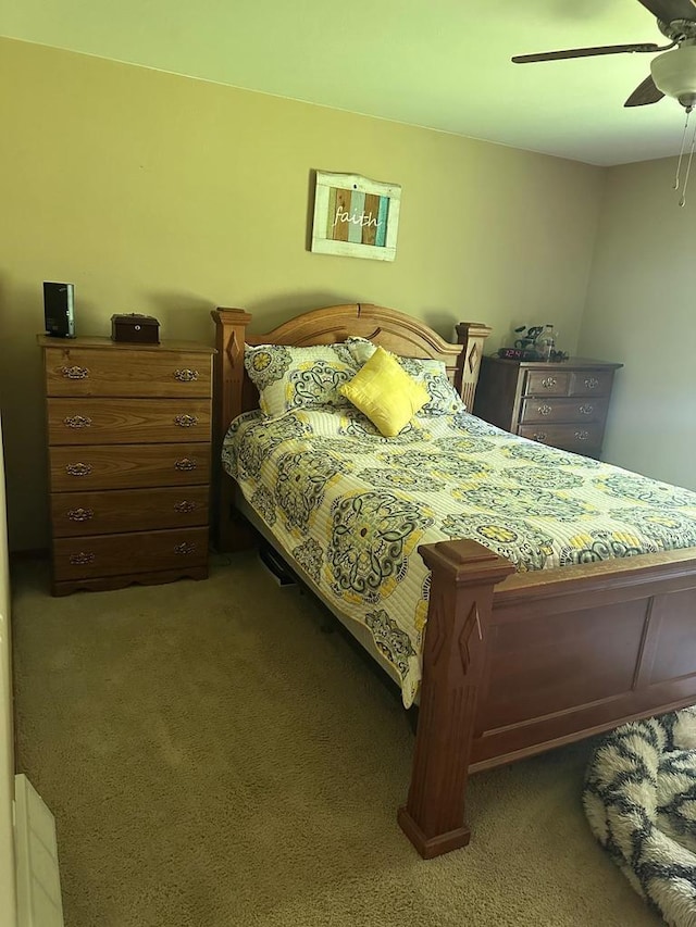 W6767 Pine Ave, Medford, WI 54451 - bedroom with carpet floors and a ceiling fan