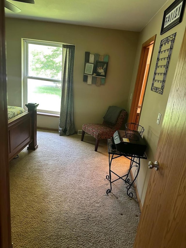 W6767 Pine Ave, Medford, WI 54451 - office space featuring carpet and baseboards