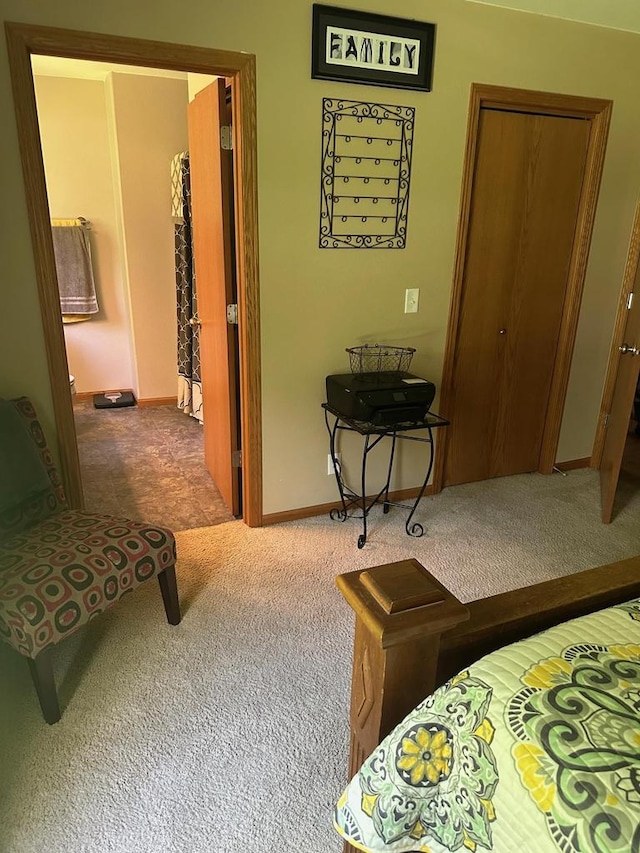 W6767 Pine Ave, Medford, WI 54451 - bedroom with carpet floors and a closet