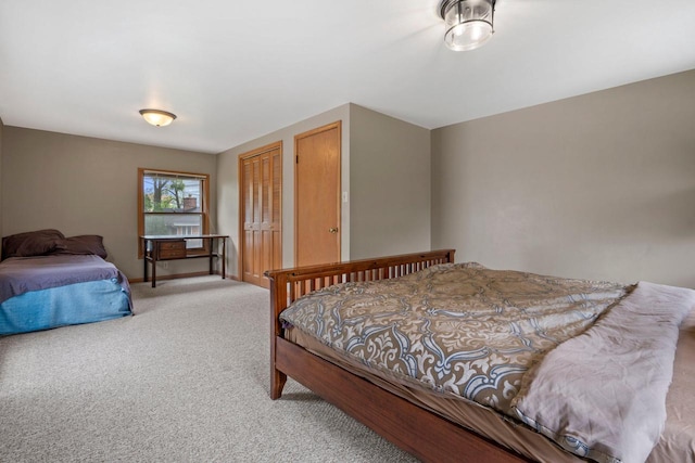 613 Pleasant View St, Wauwatosa, WI 53226 - bedroom with light carpet and two closets