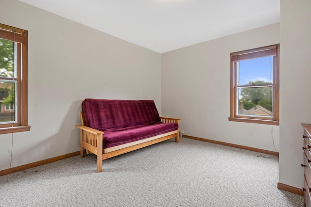 613 Pleasant View St, Wauwatosa, WI 53226 - sitting room featuring plenty of natural light and carpet