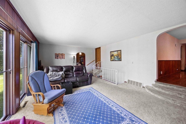W4976 Pinewood Ln, Merrill, WI 54452 - living room with arched walkways, carpet flooring, and a textured ceiling