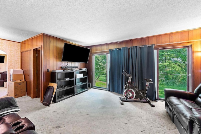 W4976 Pinewood Ln, Merrill, WI 54452 - living area with a textured ceiling, carpet flooring, ornamental molding, and wood walls