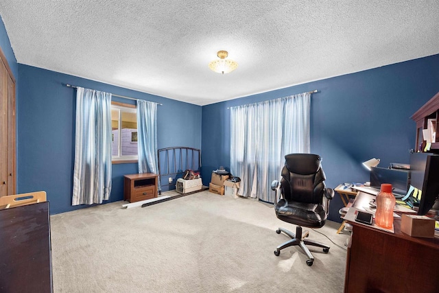 W4976 Pinewood Ln, Merrill, WI 54452 - home office featuring carpet and a textured ceiling