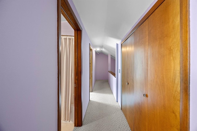 W4976 Pinewood Ln, Merrill, WI 54452 - hall with carpet floors