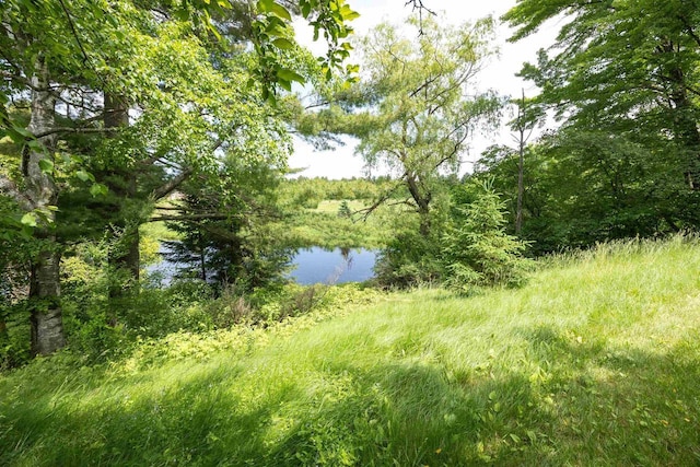 W4976 Pinewood Ln, Merrill, WI 54452 - water view