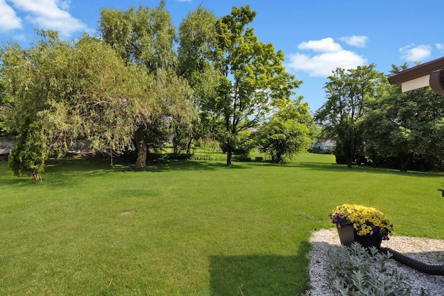 N78W15518 Old Gate Rd, Menomonee Falls, WI 53051 - view of grassy yard