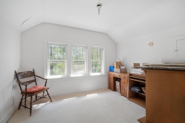 12600 W Prospect Dr, New Berlin, WI 53151 - office featuring vaulted ceiling and carpet floors
