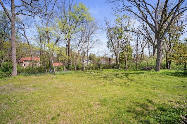 12600 W Prospect Dr, New Berlin, WI 53151 - view of green lawn