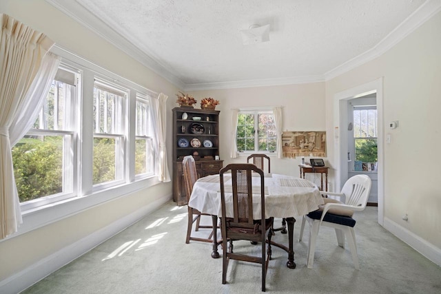 12600 W Prospect Dr, New Berlin, WI 53151 - dining area featuring healthy amount of natural light, light colored carpet, ornamental molding, and a textured ceiling