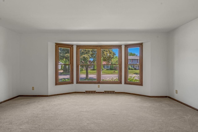 1512 David Ln, Waukesha, WI 53189 - unfurnished room with carpet and baseboards