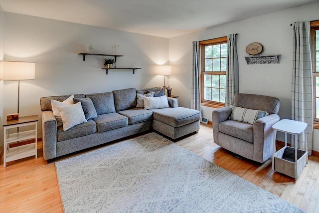 130 W Windsor Ave, Cottage Grove, WI 53527 - living room with light wood-type flooring