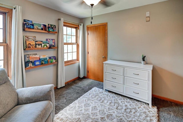 130 W Windsor Ave, Cottage Grove, WI 53527 - sitting room with carpet and ceiling fan