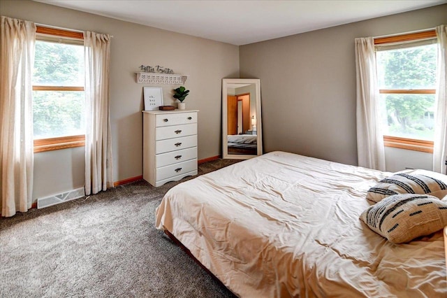 130 W Windsor Ave, Cottage Grove, WI 53527 - carpeted bedroom featuring multiple windows