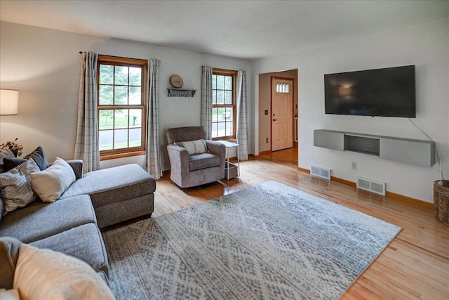 130 W Windsor Ave, Cottage Grove, WI 53527 - living room featuring plenty of natural light and wood finished floors