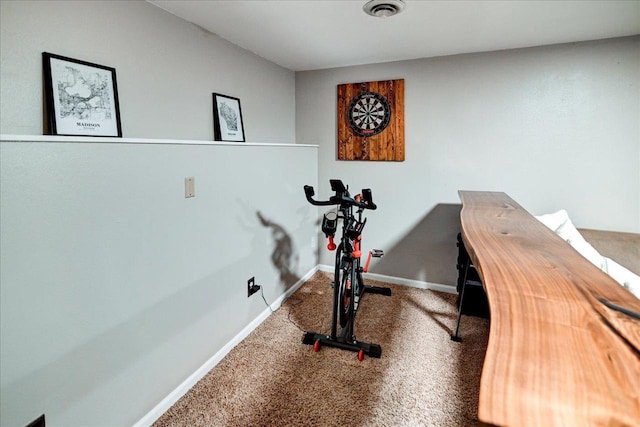 130 W Windsor Ave, Cottage Grove, WI 53527 - workout room with carpet
