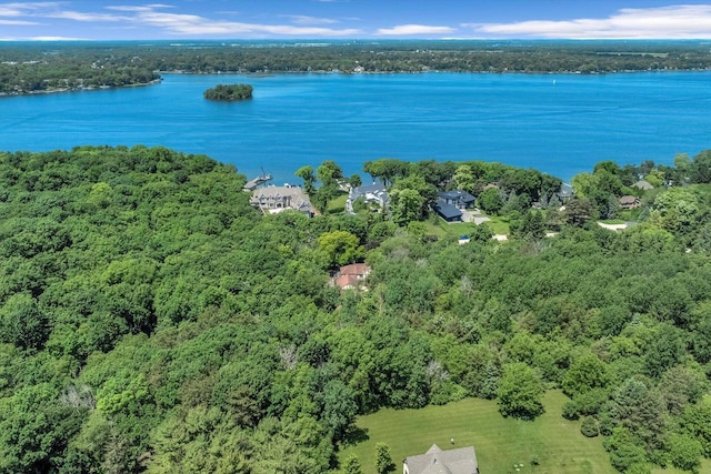 1450 Weber Ct, Hartland, WI 53029 - view of property location with a heavily wooded area and a large body of water