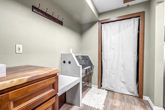 1450 Weber Ct, Hartland, WI 53029 - misc room featuring light wood-style floors and baseboards