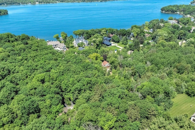 1450 Weber Ct, Hartland, WI 53029 - aerial view of a nearby body of water