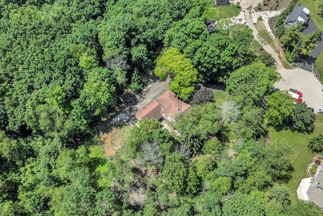 1450 Weber Ct, Hartland, WI 53029 - aerial view of property's location