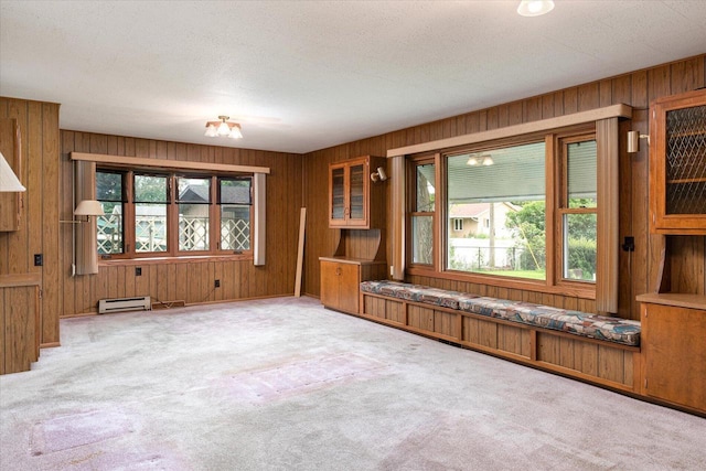 3720 Elm Dr, La Crosse, WI 54601 - unfurnished room featuring a baseboard radiator, carpet flooring, and wood walls