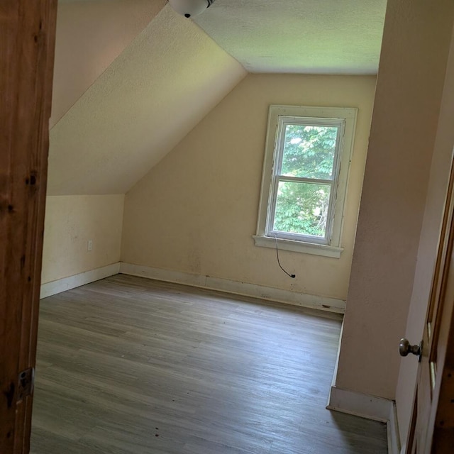 1920 W Vienna Ave, Milwaukee, WI 53206 - bonus room with vaulted ceiling, wood finished floors, and a textured ceiling