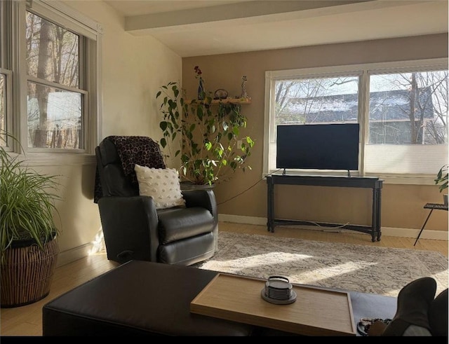338 S Jefferson St, Saint Croix Falls, WI 54024 - living area with wood finished floors and beam ceiling