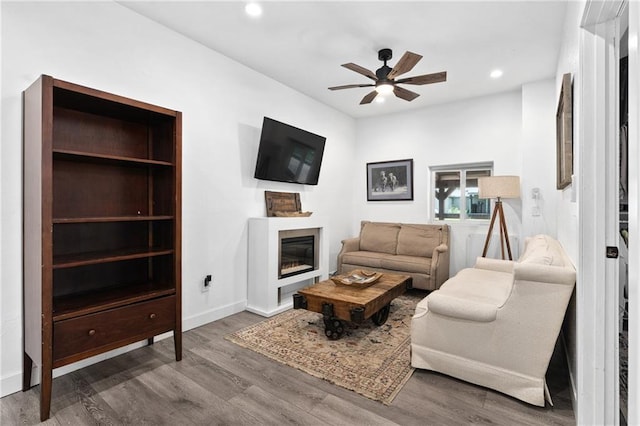 4271 220th St, Cadott, WI 54727 - living area featuring a ceiling fan, wood finished floors, a glass covered fireplace, and recessed lighting