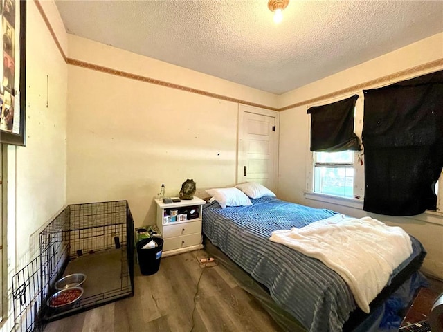 306 E Race Ave, Elmwood, WI 54740 - bedroom with wood finished floors and a textured ceiling