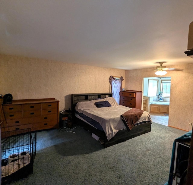 1817 S Duck Creek Dr, Friendship, WI 53934 - bedroom with carpet floors and connected bathroom