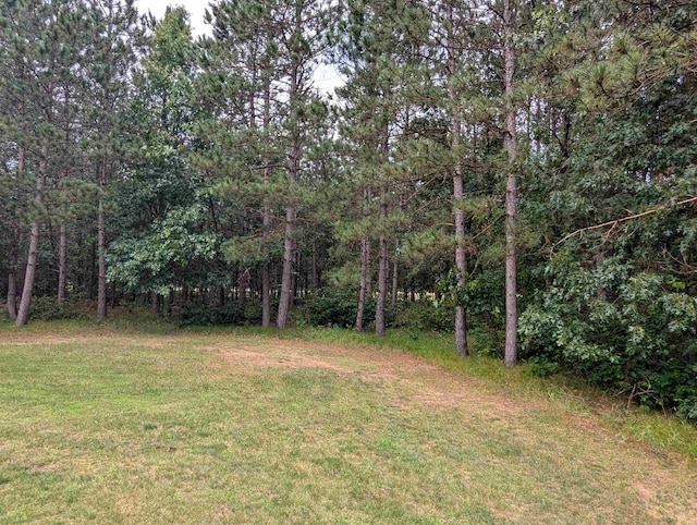 1817 S Duck Creek Dr, Friendship, WI 53934 - view of green lawn with a view of trees