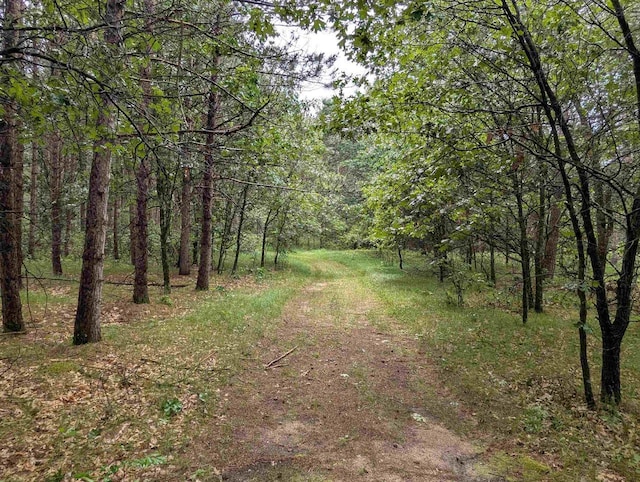 1817 S Duck Creek Dr, Friendship, WI 53934 - view of tree filled area