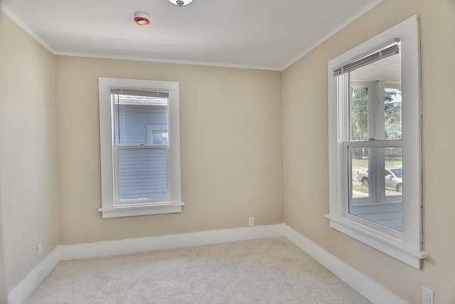1541 Porter Ave, Beloit, WI 53511 - unfurnished room featuring carpet floors and crown molding
