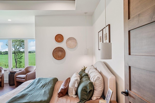 3330 Colton Way, Sun Prairie, WI 53590 - bedroom featuring wood finished floors and recessed lighting