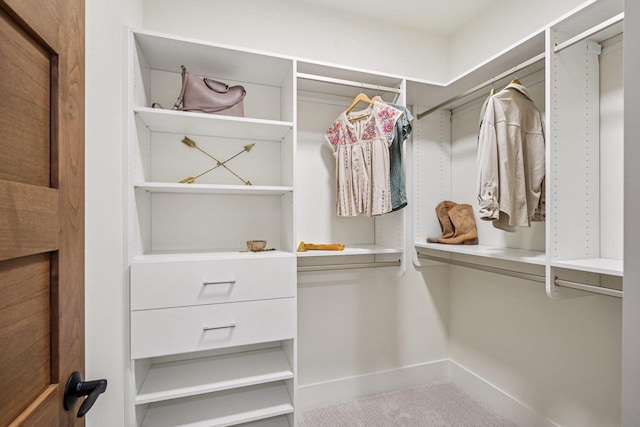 3330 Colton Way, Sun Prairie, WI 53590 - view of spacious closet