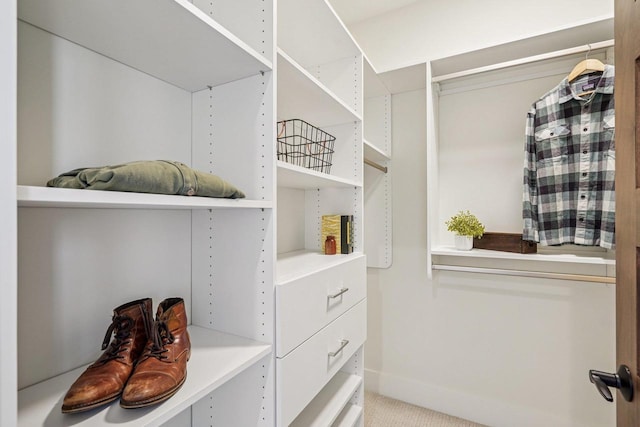3330 Colton Way, Sun Prairie, WI 53590 - walk in closet with carpet floors