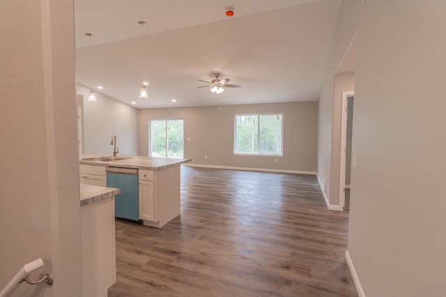 219 Joe St, Stevens Point, WI 54481 - kitchen with dishwasher, dark wood-style flooring, white cabinetry, light countertops, and open floor plan