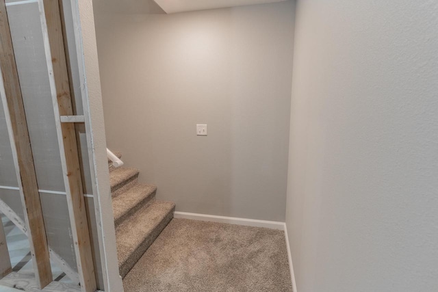 219 Joe St, Stevens Point, WI 54481 - staircase with carpet and baseboards