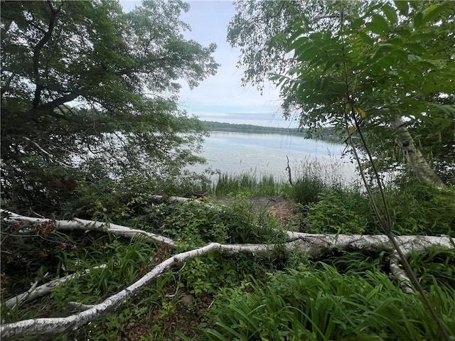 1042 Lutefisk Pt, Amery, WI 54001 - water view
