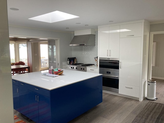 N155 Surfside Dr, Cedar Grove, WI 53013 - kitchen with wall chimney range hood, blue cabinets, appliances with stainless steel finishes, dark wood-type flooring, and a skylight