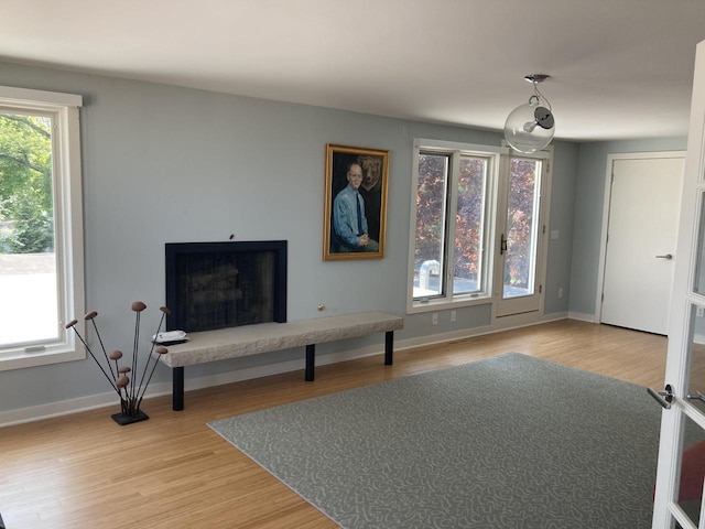 N155 Surfside Dr, Cedar Grove, WI 53013 - living room featuring light wood-style flooring and a fireplace with raised hearth