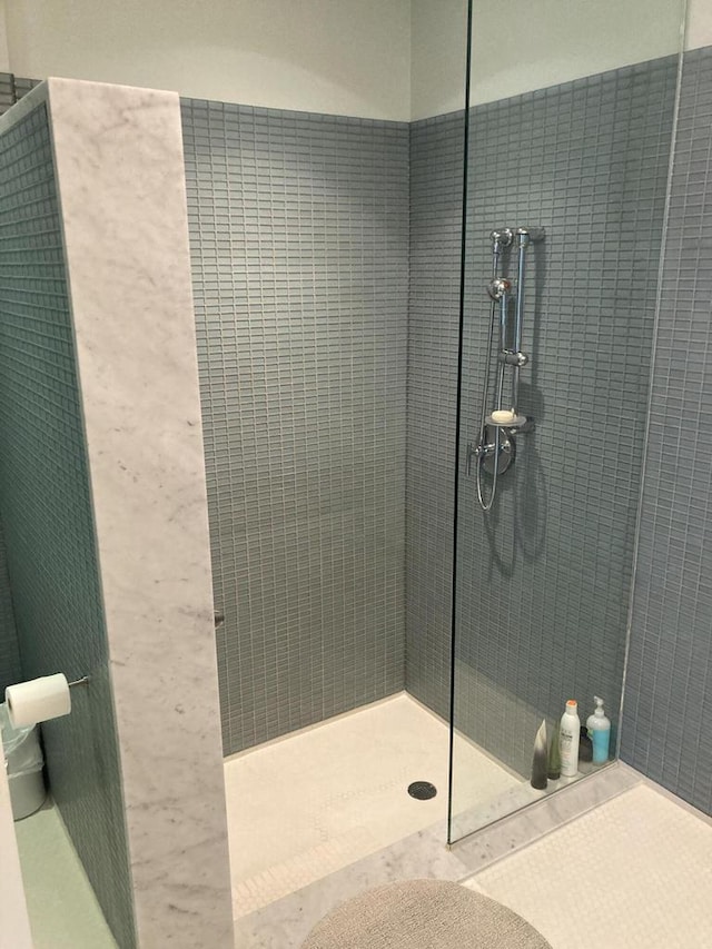 N155 Surfside Dr, Cedar Grove, WI 53013 - bathroom featuring walk in shower